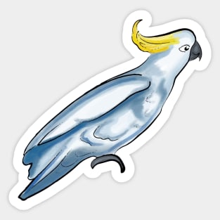 Blue Cockatoo - Australian Native Bird Sticker
